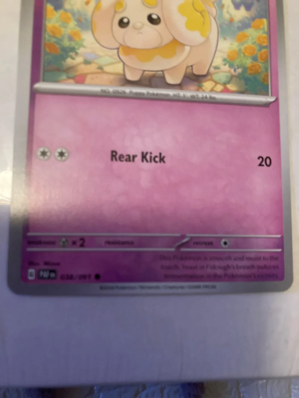 Pokemon Fidough Pink and Yellow Trading Card